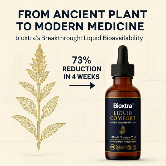 Himalayan Mullein Chronic Pain Reliever
